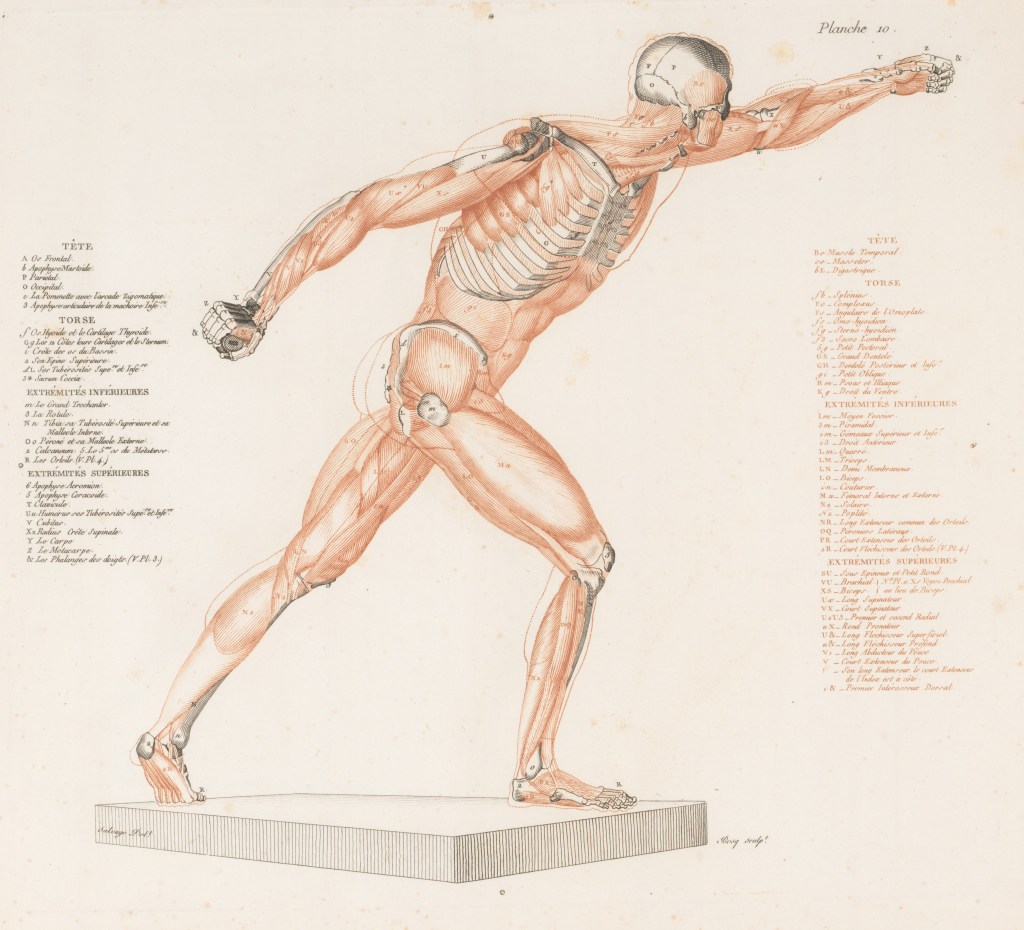 Montes-Ibarra et al. (2023). Prevalence and clinical implications of abnormal body composition phenotypes in patients with COVID-19: a systematic review